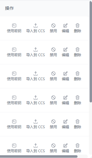 API 密钥列表中导入到 CCS 按钮截图